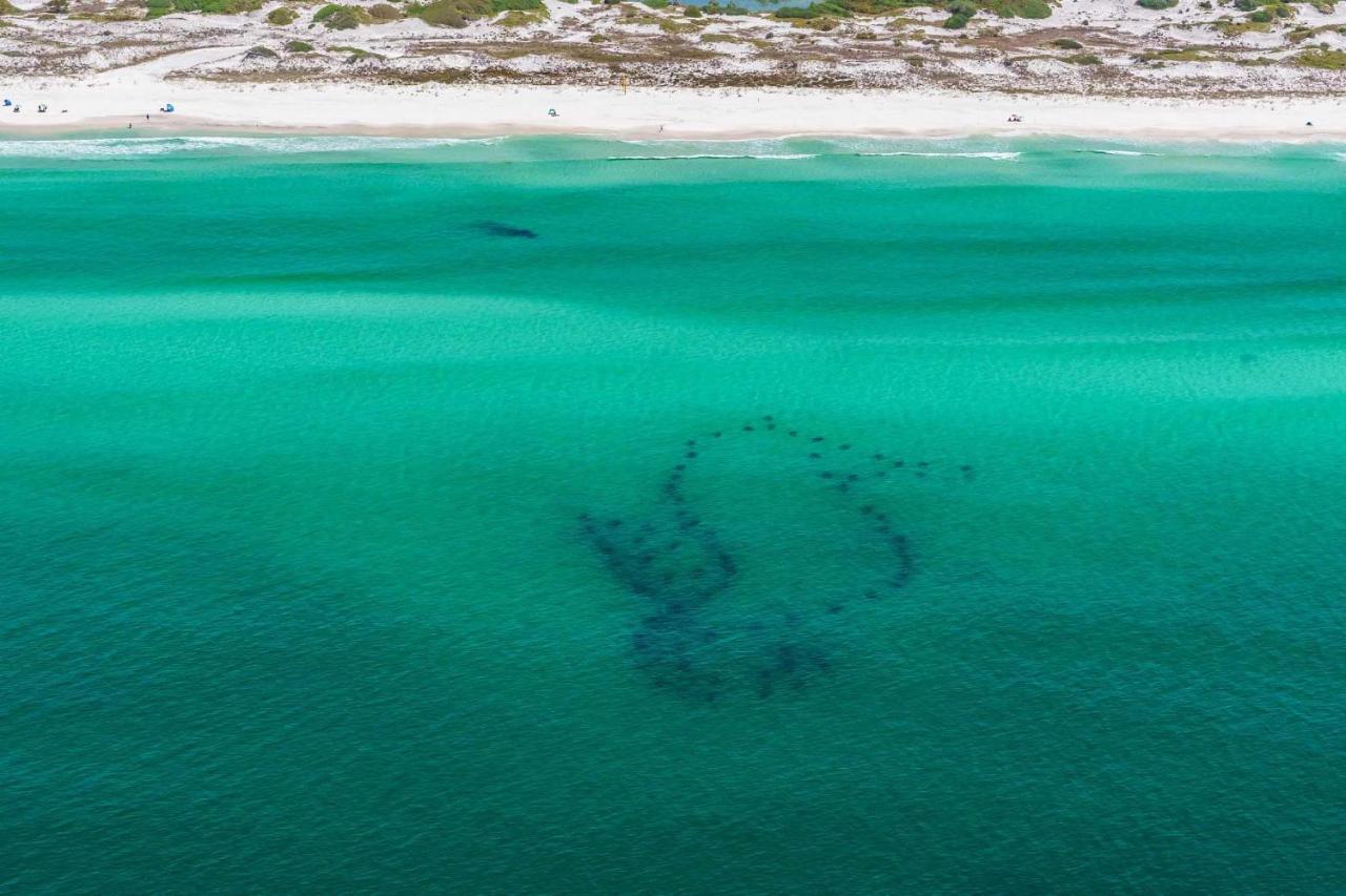 Surfin' Turtle Villa Santa Rosa Beach Exterior photo